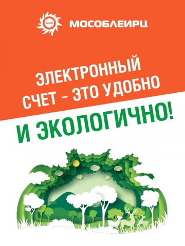 Электронная платежка